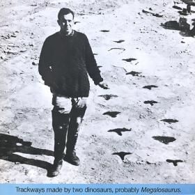 <img class='new_mark_img1' src='https://img.shop-pro.jp/img/new/icons50.gif' style='border:none;display:inline;margin:0px;padding:0px;width:auto;' />Chris Newman / Trackways Made By Two Dinosaurs, Probably Megalosaurus