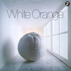 <img class='new_mark_img1' src='https://img.shop-pro.jp/img/new/icons50.gif' style='border:none;display:inline;margin:0px;padding:0px;width:auto;' />White Orange / White Orange