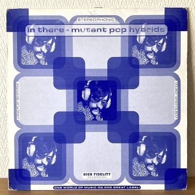 <img class='new_mark_img1' src='https://img.shop-pro.jp/img/new/icons50.gif' style='border:none;display:inline;margin:0px;padding:0px;width:auto;' />V.A. / In There - Mutant Pop Hybrids