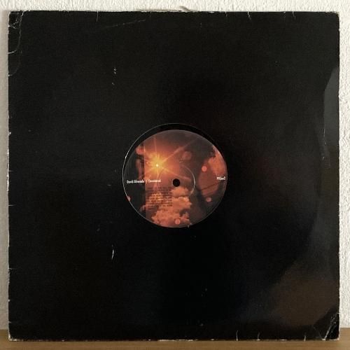 シールド　DAVID ALVARADO 『DEVOTIONAL』 DAVID ALVARADO / DEVOTIONAL – TICRO MARKET