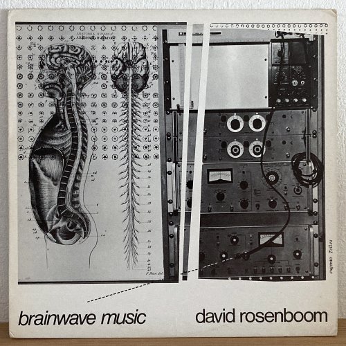 David Rosenboom / Brainwave Music