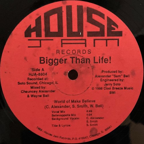 Bigger Than Life / World Of Make Believe (12"EP) - silencia music store