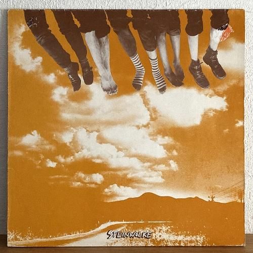 Paul Stephens - Nubian Knights レコード Paul Stephens / Nubian Knights(LP) / RPM 1983 USオリジナル盤