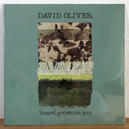 <img class='new_mark_img1' src='https://img.shop-pro.jp/img/new/icons50.gif' style='border:none;display:inline;margin:0px;padding:0px;width:auto;' />David Oliver / Lizard Grows On You (LP)
