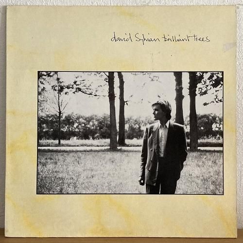 David Sylvian / Brilliant Trees (LP) - silencia music store