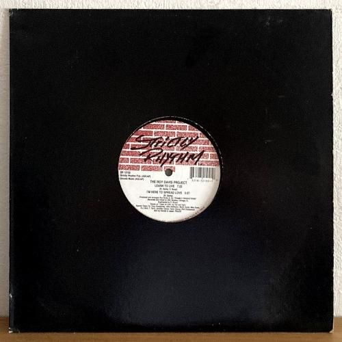 The Roy Davis Project / Learn To Live (12