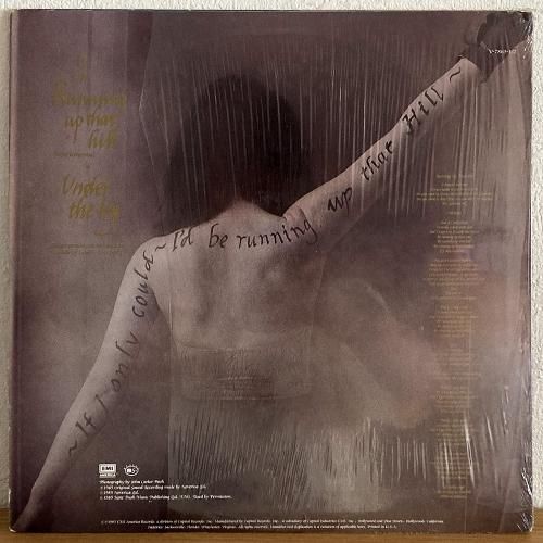 ケイト・ブッシュ　神秘の丘　12トラック収録 リミックス集 CD ケイト・ブッシュ 神秘の丘 12トラック収録 リミックス集 CD