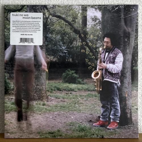 Toshifumi Hinata 日向 敏文 / Sarah's Crime サラの犯罪 (LP