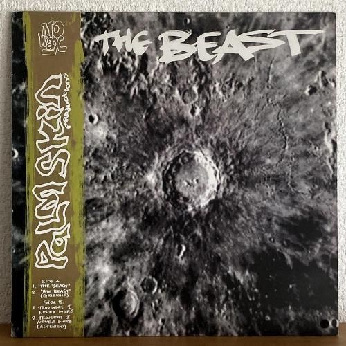 <img class='new_mark_img1' src='https://img.shop-pro.jp/img/new/icons50.gif' style='border:none;display:inline;margin:0px;padding:0px;width:auto;' />Palm Skin Productions / The Beast (12