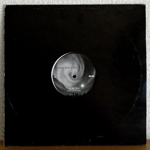 Dark Energy / Dark Paradise (12