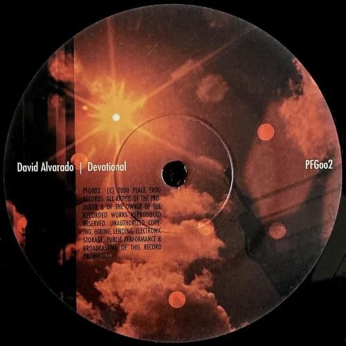シールド　DAVID ALVARADO 『DEVOTIONAL』 David Alvarado / Devotional (12