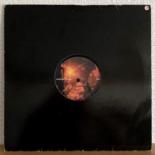 <img class='new_mark_img1' src='https://img.shop-pro.jp/img/new/icons6.gif' style='border:none;display:inline;margin:0px;padding:0px;width:auto;' />David Alvarado / Devotional (12