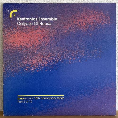 <img class='new_mark_img1' src='https://img.shop-pro.jp/img/new/icons50.gif' style='border:none;display:inline;margin:0px;padding:0px;width:auto;' />Keytronics Ensemble / Calypso Of House (12