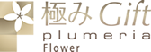 プルメリア極ギフト