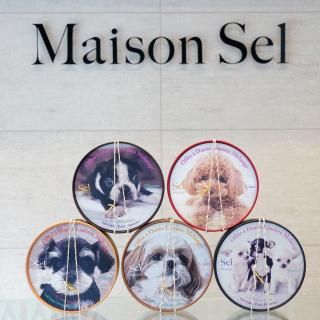 Je taime Chien Ensemble Edition&#160;S&#233;rie b&#233;b&#233;
(㡼)
ơ  󥵥֥ ǥ