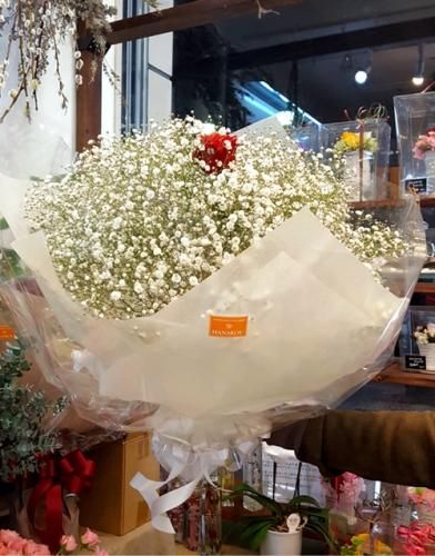 赤バラ1本のまわりにかすみ草の花束 赤バラ1本のまわりにかすみ草の花束