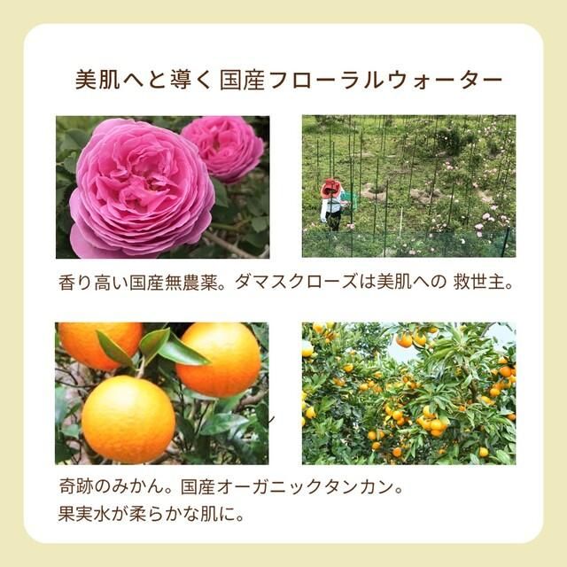 񻺥ե륦
