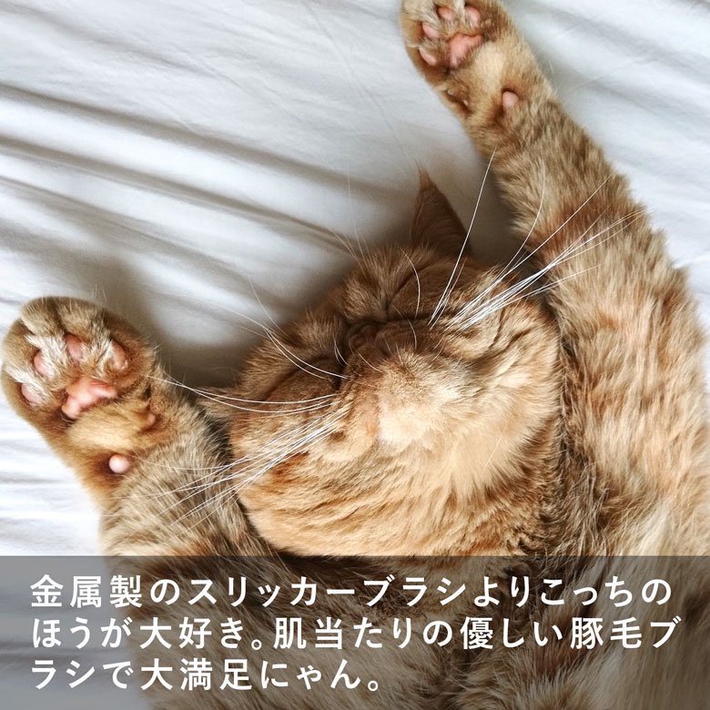 REDECKER レデッカー 猫が喜ぶキャットブラシ＆手入れ用クリーナー