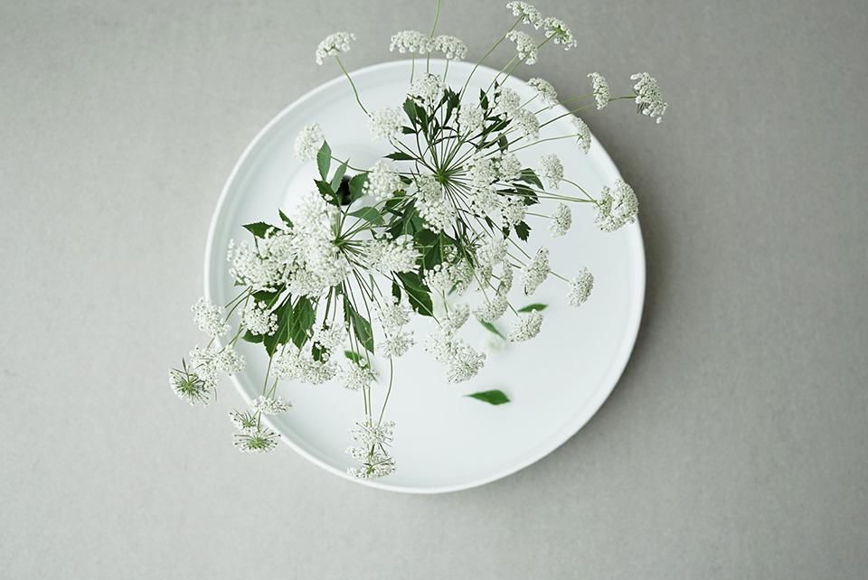 floating flower / studio note floating flower / studio note