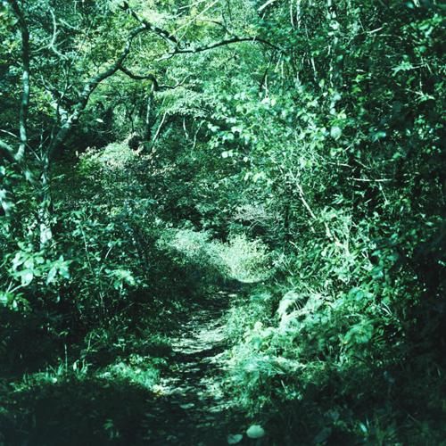 いろのみ 琹の葉 アナログ盤LP 美品 LTD200 琹の葉／いろのみ ironomi（Transparent Green Vinyl）LP