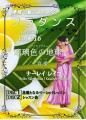 フラダンスレッスンDVD <スペシャル> Vol.216 瑠璃色の地球/二宮 愛