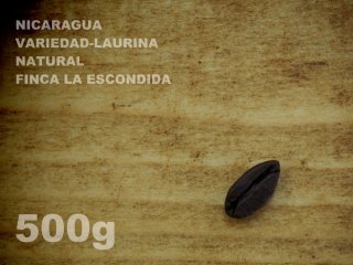  ニカラグア　ヴァリエダ-ローリナ　ナチュラル　エスコンディーダ農園　【500g】