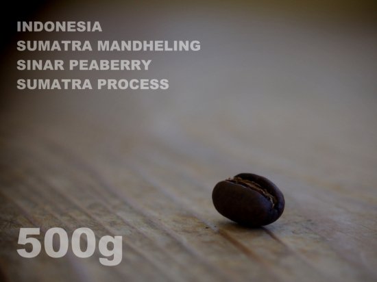インドネシア　スマトラ　マンデリン　シナール　ピーベリー　スマトラ・プロセス　【500g】