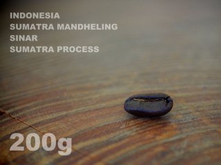 インドネシア　スマトラ　マンデリン　シナール　スマトラ・プロセス　【200g】