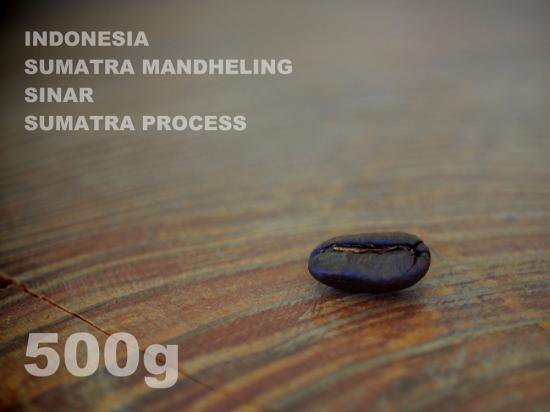 インドネシア　スマトラ　マンデリン　シナール　スマトラ・プロセス　【500g】