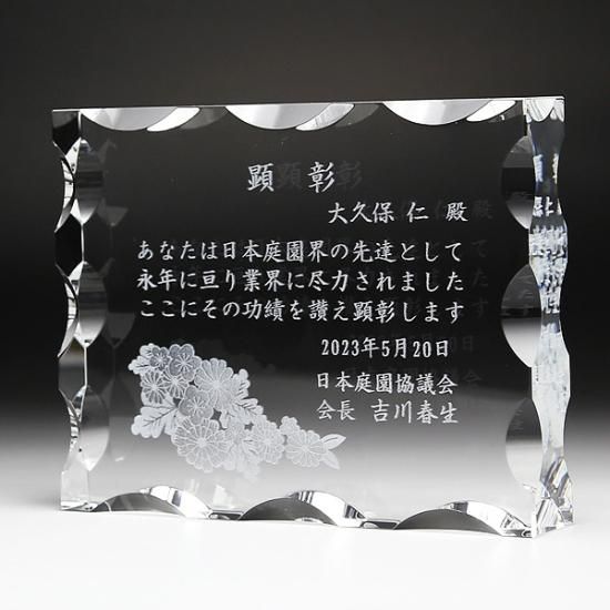 ꥹɽݡJP-DP-10<img class='new_mark_img2' src='https://img.shop-pro.jp/img/new/icons25.gif' style='border:none;display:inline;margin:0px;padding:0px;width:auto;' />