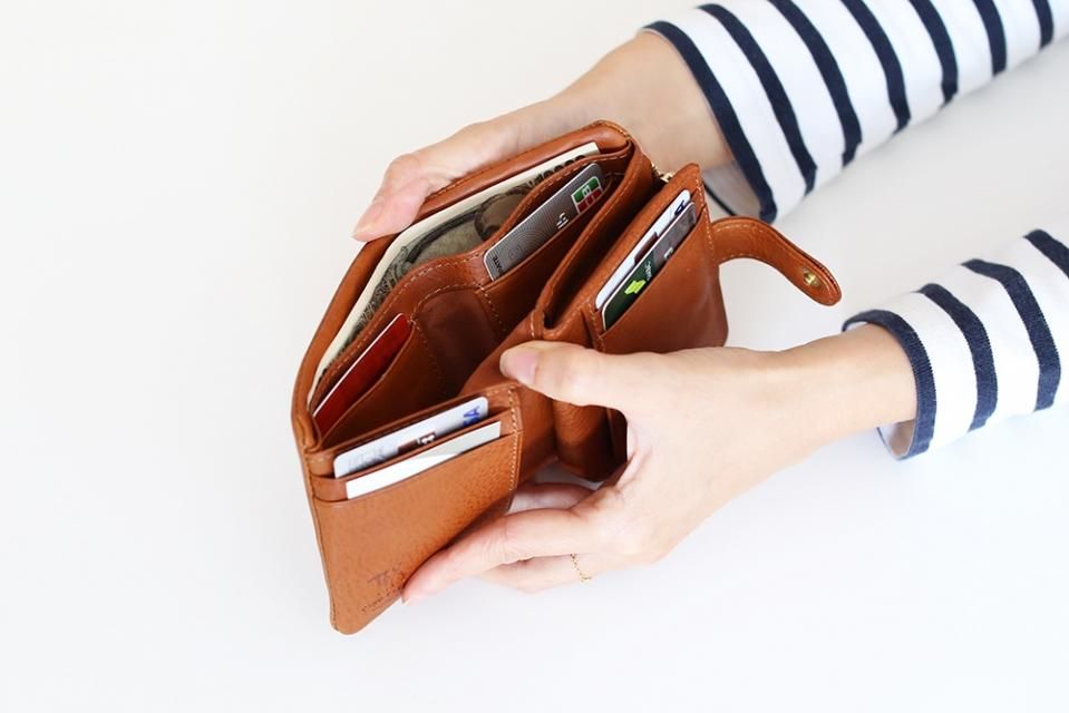 mainichi wallet | maigoya