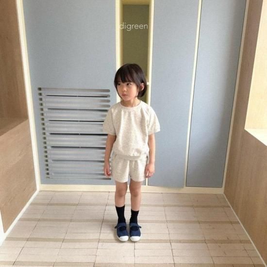 DMC試投セット 27本+5本+おまけ LOOK! The NEW Annual Catalog Designer Series Paper + FREE