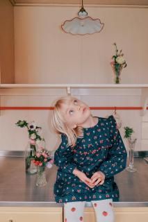 <img class='new_mark_img1' src='https://img.shop-pro.jp/img/new/icons14.gif' style='border:none;display:inline;margin:0px;padding:0px;width:auto;' />Fl&#246;ssSofia Dress2025-AW