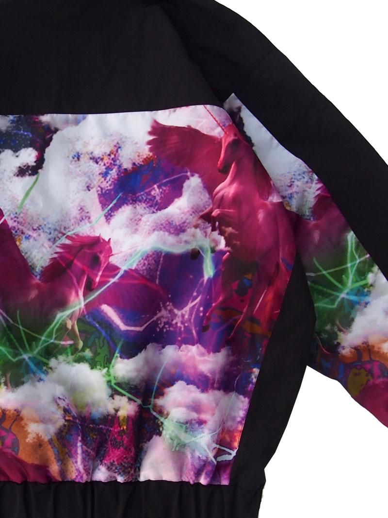 2020 WINTER SWITCH WINDBREAKER (PEGASUS) - FALILV by FaLiLV ONLINE