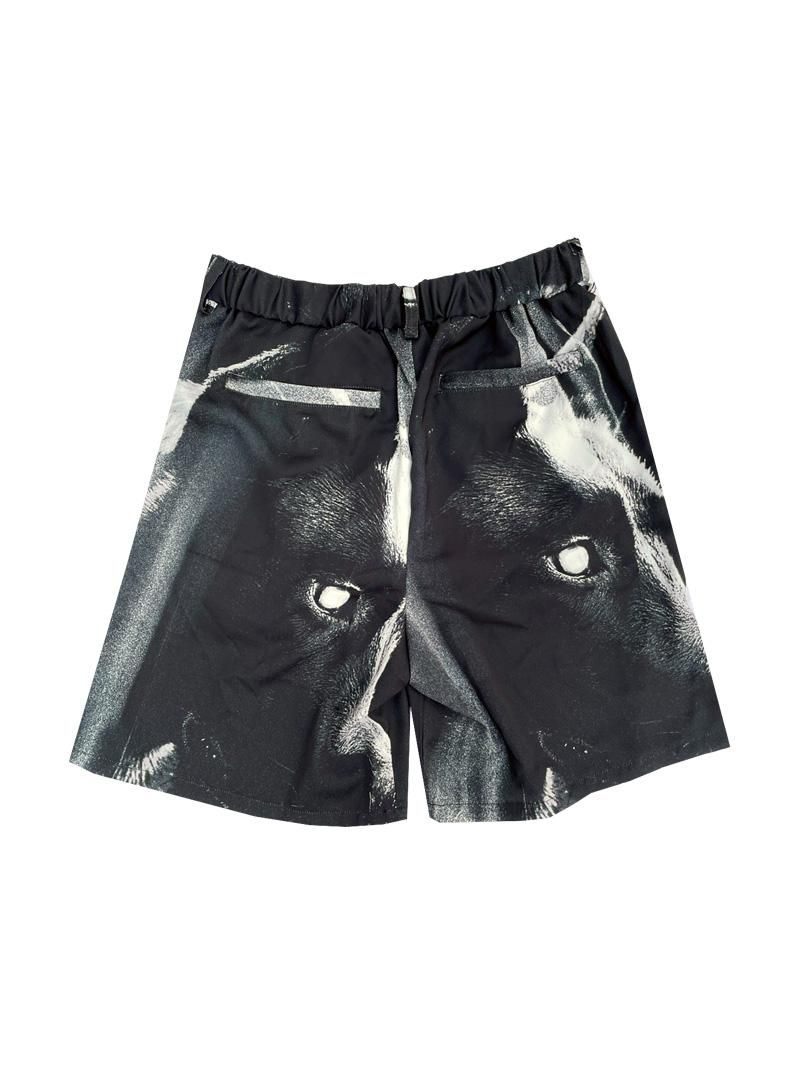 2022 SUMMER FULLGRAPHIC SHORT PANTS (K-9) - FALILV by FaLiLV
