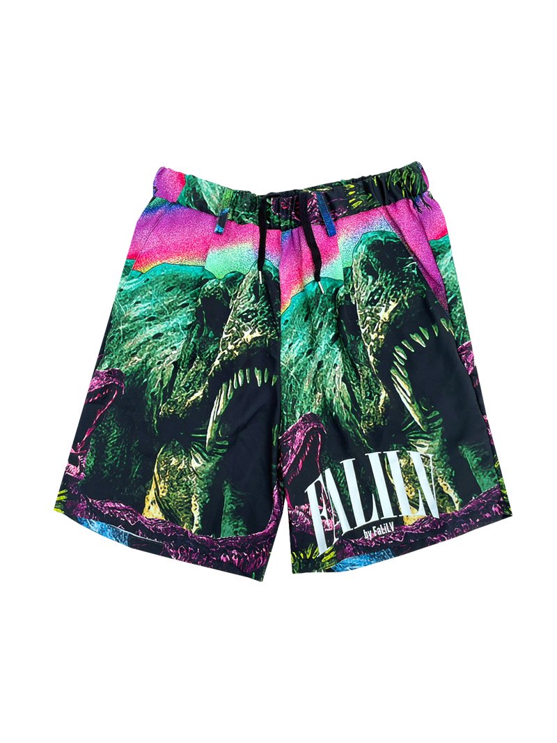 <img class='new_mark_img1' src='https://img.shop-pro.jp/img/new/icons23.gif' style='border:none;display:inline;margin:0px;padding:0px;width:auto;' />2022 SUMMER FULLGRAPHIC SHORT PANTS (JURASSIC)