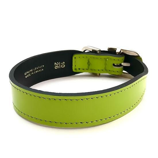 WOUAPY パリで購入WOUAPY本革犬用リード＆首輪濃い緑新品タグ付き