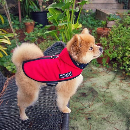 Wildebeest clearance dog jacket