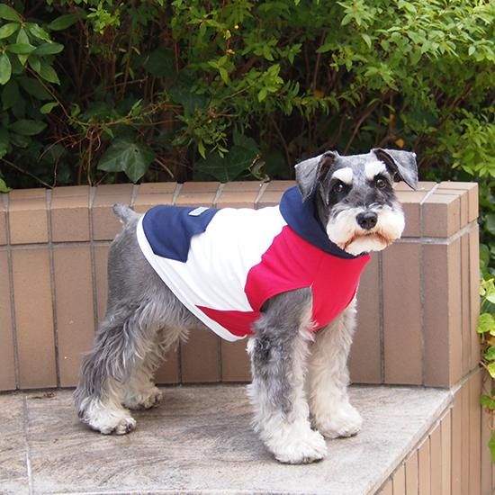 犬服 T C オリジナル クールネック フーディー 保冷剤付 日本製 犬猫用のおしゃれで可愛いオリジナルのペット用品 輸入ペット用品のお店 Tommy Catty トミーアンドキャティ 犬服 T C オリジナル クールネック フーディー 保冷剤付 日本製 犬猫用のおしゃれで可愛いオリジナルのペット用品 輸入ペット用品のお店 Tommy Catty トミーアンドキャティ