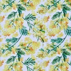 Mimosa<img class='new_mark_img2' src='https://img.shop-pro.jp/img/new/icons13.gif' style='border:none;display:inline;margin:0px;padding:0px;width:auto;' />