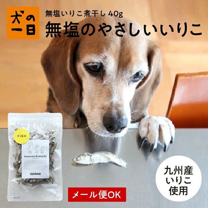 無塩いりこ煮干し50g 小袋 犬の手作りおやつの専門店 犬の一日 無塩いりこ煮干し50g 小袋 犬の手作りおやつの専門店 犬の一日