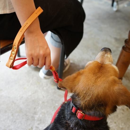 岡山県倉敷の帆布を使用したリード Blenheim キャンバスエクステンション レッド M L 犬の手作りおやつの専門店 犬の一日 岡山県倉敷の帆布を使用したリード Blenheim キャンバスエクステンション レッド M L 犬の手作りおやつの専門店 犬の一日