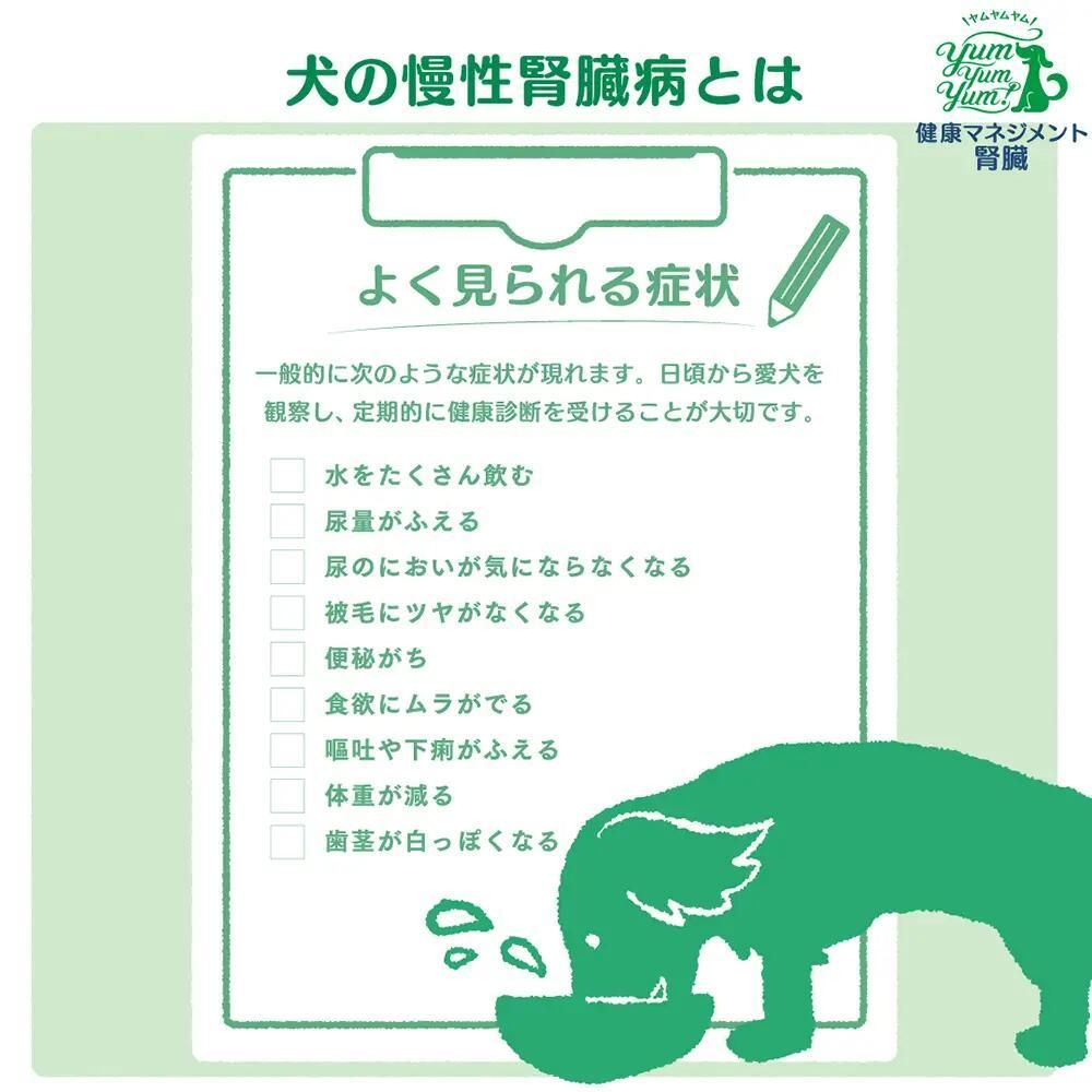 犬用 フード ヤムヤムヤム YumYumYum! 健康マネジメント腎臓