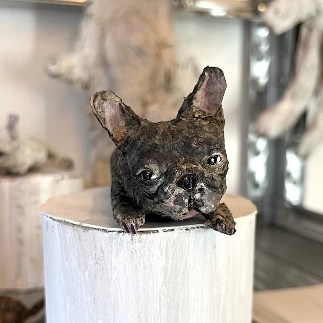 쥤 勵ʥ | ե֥ɥå(֥ɥ) Ĺ12.5cm ι5cm