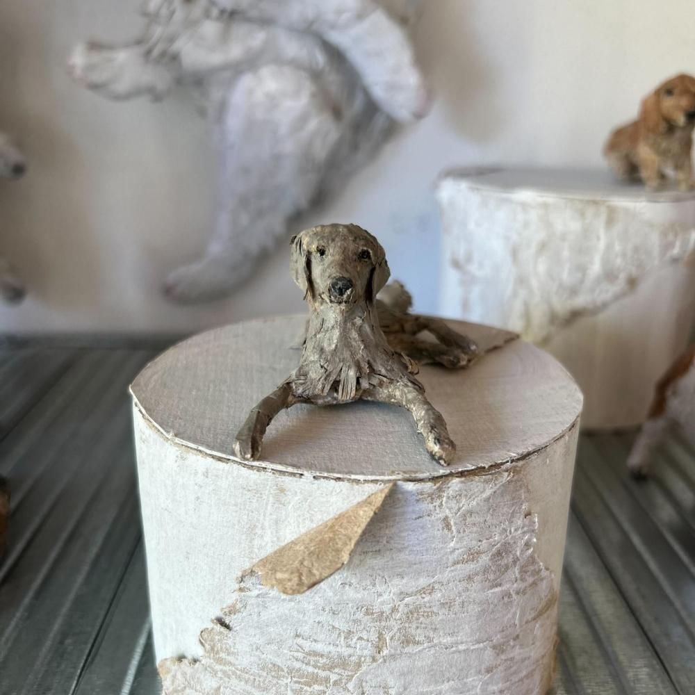 쥤 勵ʥ | 磻ޥʡ Ĺ11cm ι4.5cm
