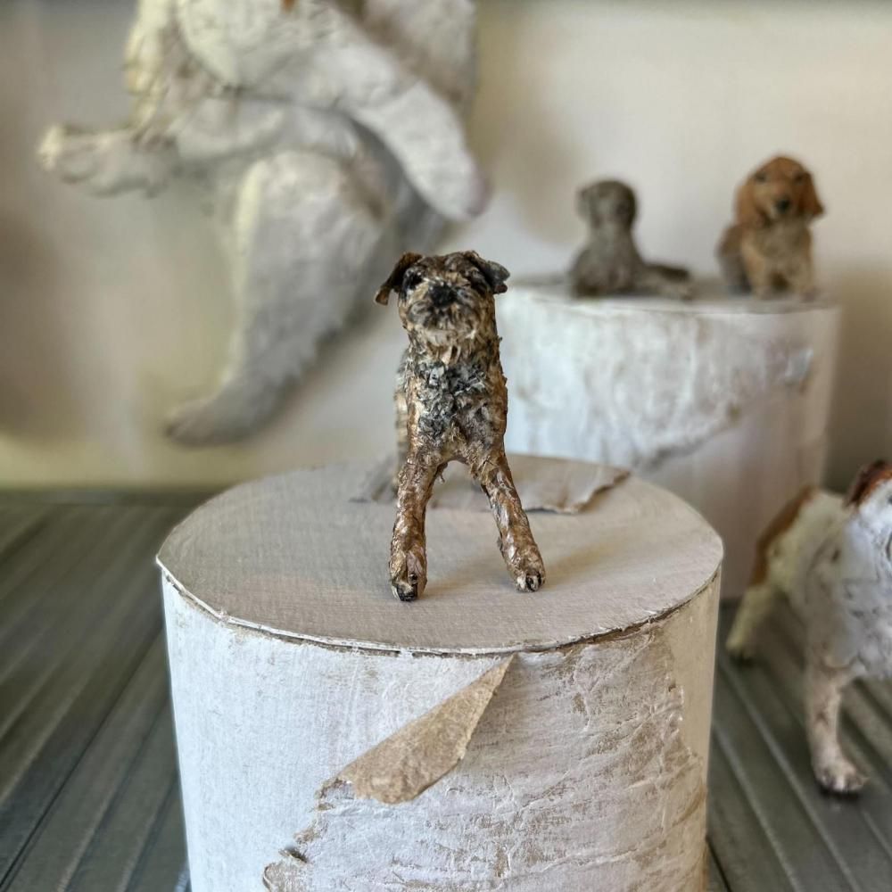 쥤 勵ʥ | ܡƥꥢ Ĺ7.5cm ι5.5cm