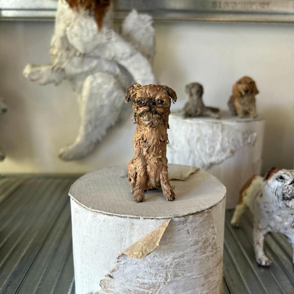 쥤 勵ʥ | ե Ĺ6cm ι7cm