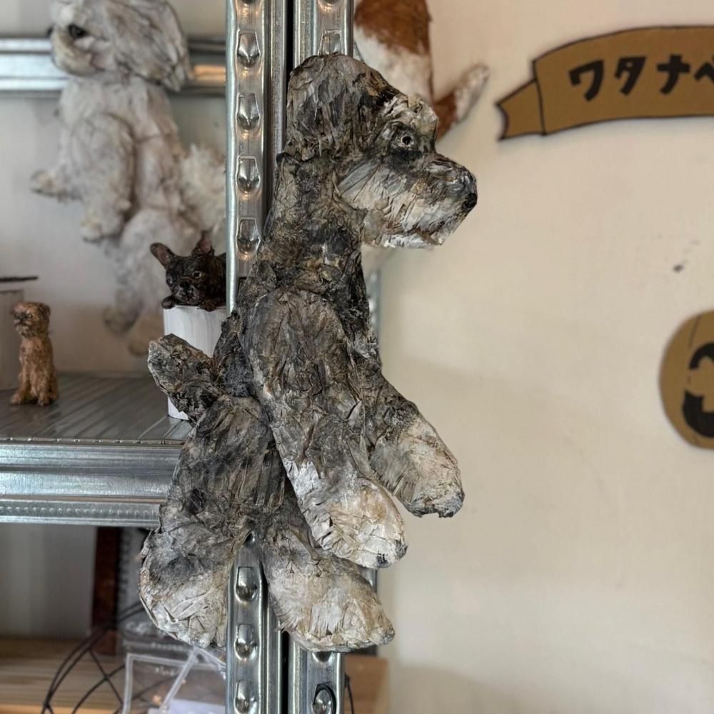 쥤 勵ʥ | ɤ ʥ 32cm 18cm