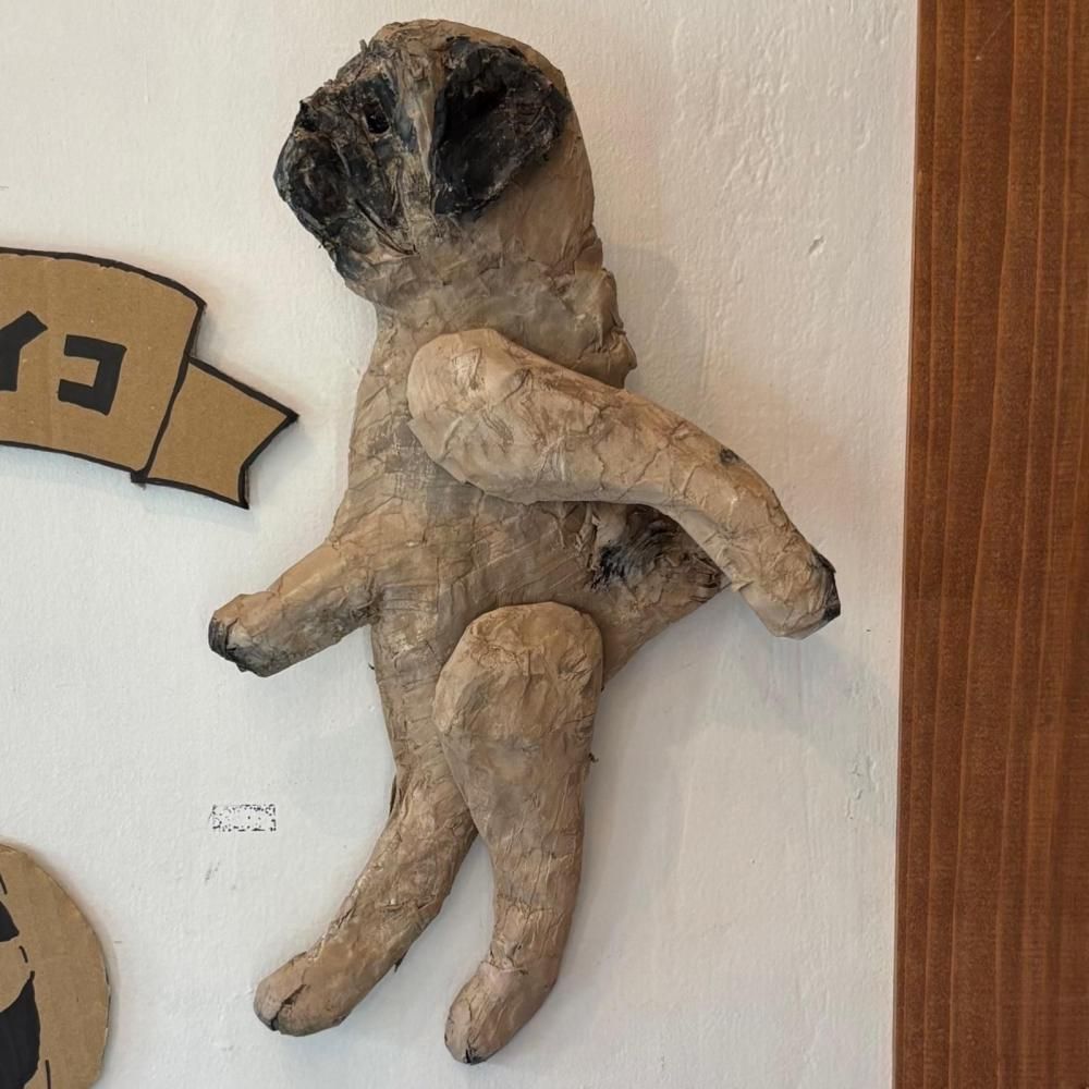 쥤 勵ʥ | ɤ ѥ 34cm 17cm