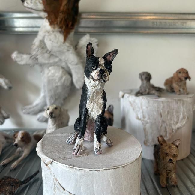 쥤 勵ʥ | ܥȥƥꥢ Ĺ6cm ι10.5cm